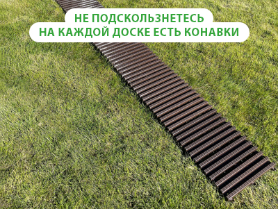 трапики