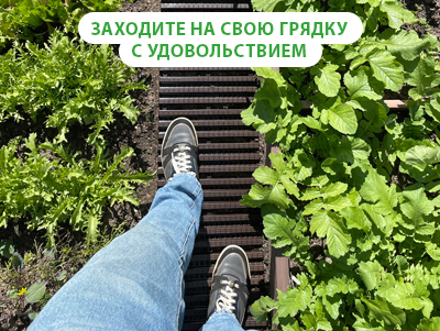 трапики